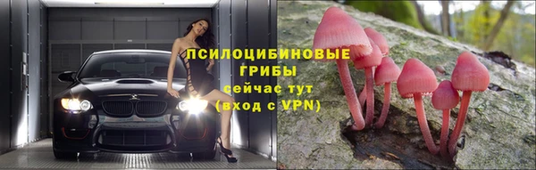 шишки Вязники