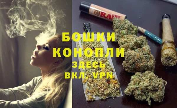 шишки Вязники