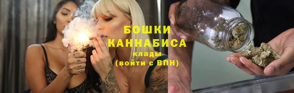 шишки Вязники